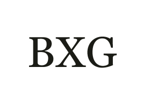 Сушилки для рук BXG логотип