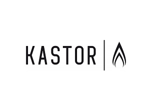 Камины, печи и топки Кастор (Kastor) логотип