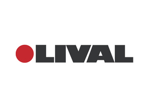 Светильники, люстры Ливал (Lival) логотип