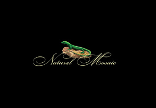 Мозаика Natural Mosaic логотип