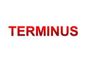 Полотенцесушители Терминус (Terminus) логотип