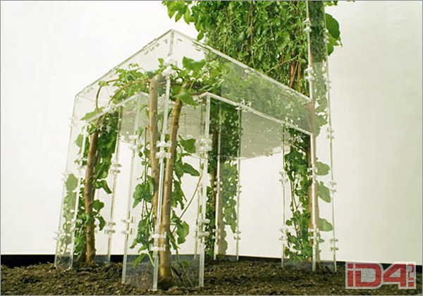 Стеклянный стул-дерево швейцарского дизайнера Мишеля Бюссьена (Michel Bussien) Стеклянный стул-дерево швейцарского дизайнера Мишеля Бюссьена (Michel Bussien)