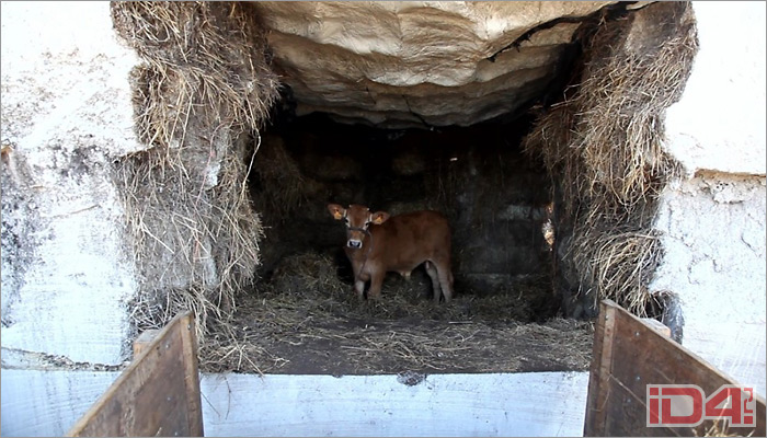 Частный жилой дом «Трюфель» испанского архитектора Антона Гарсиа-Абрила (Antón García-Abril) Частный жилой дом «Трюфель» испанского архитектора Антона Гарсиа-Абрила (Antón García-Abril)