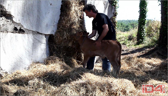 Частный жилой дом «Трюфель» испанского архитектора Антона Гарсиа-Абрила (Antón García-Abril) Частный жилой дом «Трюфель» испанского архитектора Антона Гарсиа-Абрила (Antón García-Abril)