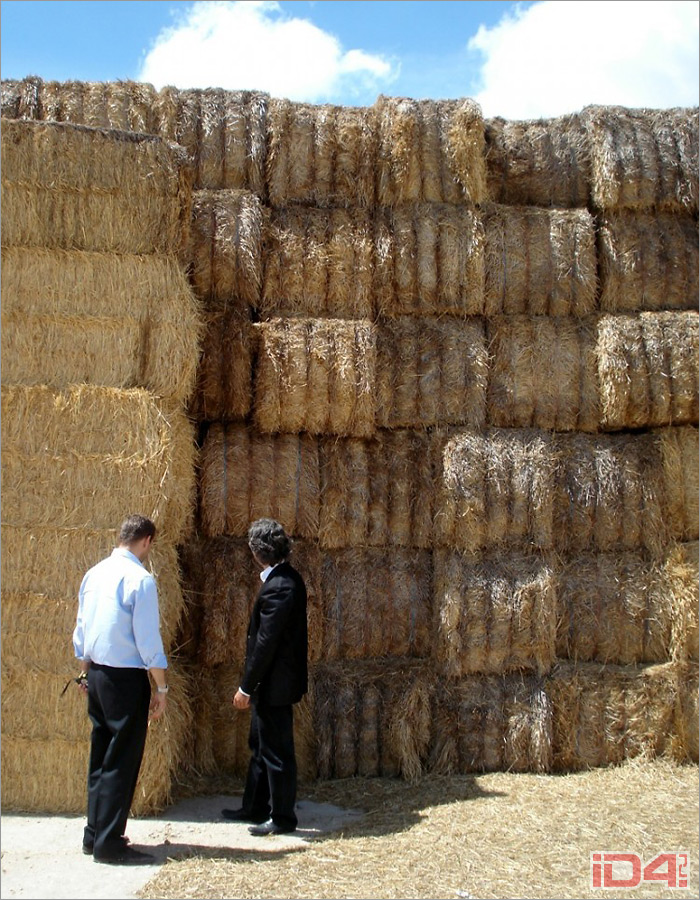 Частный жилой дом «Трюфель» испанского архитектора Антона Гарсиа-Абрила (Antón García-Abril) Частный жилой дом «Трюфель» испанского архитектора Антона Гарсиа-Абрила (Antón García-Abril)